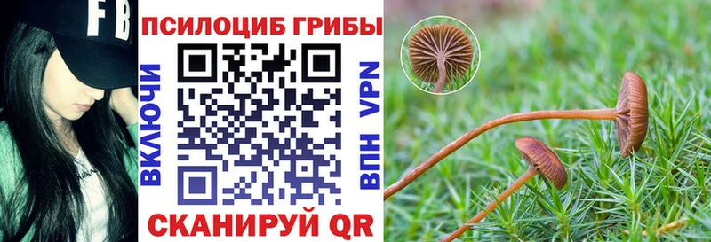 продажа наркотиков  Славск  Галлюциногенные грибы прущие грибы 